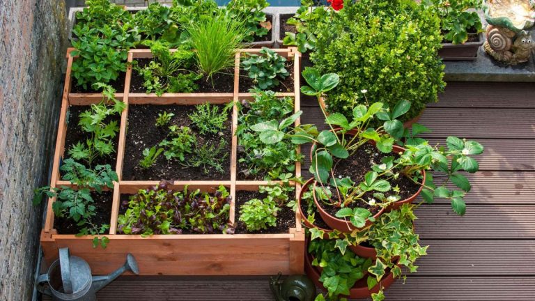 How to Build a Raised Garden Bed for Balcony Use