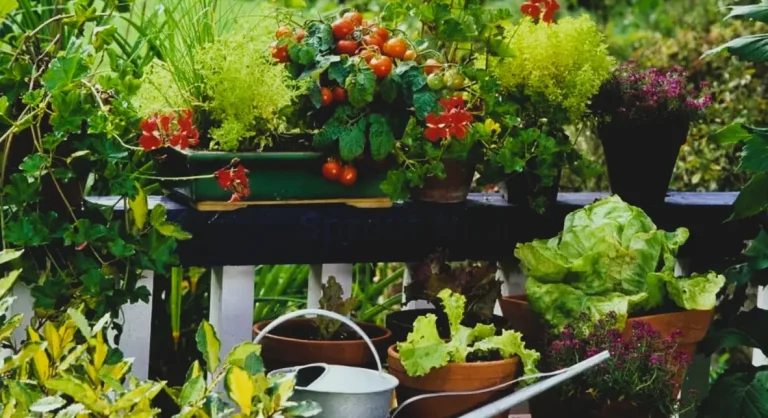 How to Plant a Balcony Garden