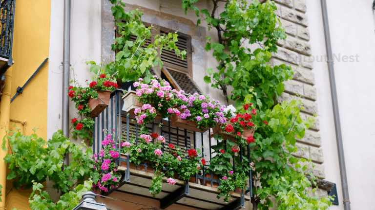 how to grow a garden on your balcony