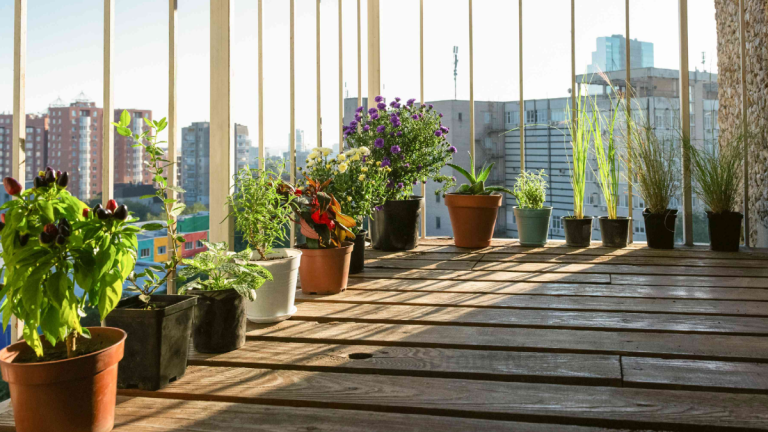 how to maintain garden in balcony